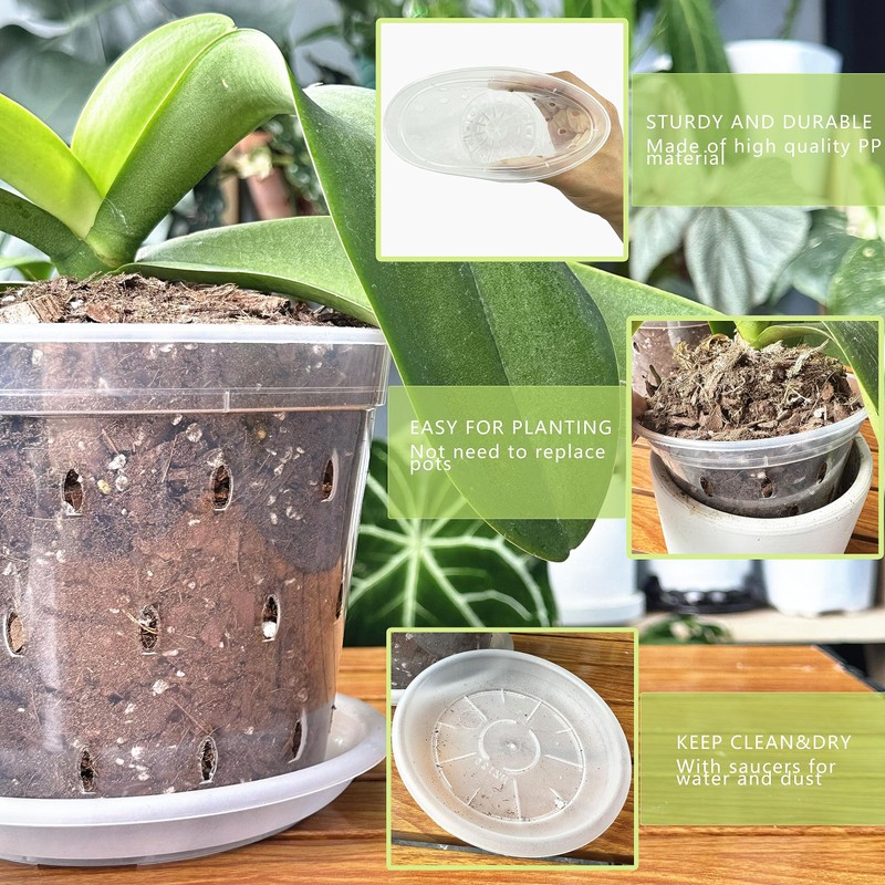 Clear Flower Pots with Holes and Saucers for Tropical Plants