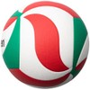 Molten V5M4000 Volleyball No. 5 Practice Ball Model
