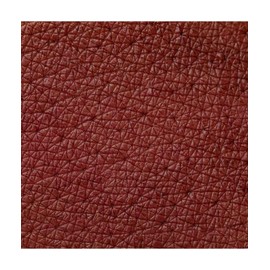 Neve Cosmetics Ruby Juice Lippentönung, leicht wie wasserbeständig wie Tinte | "Detective"