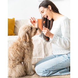 Paw Ready Pet Toothbrushing Assistant for Puppies' Dogs and Cats Allows You to Brush Your pet’s Teeth Without Constantly Worrying About Getting Bitten. (Orange, Medium)