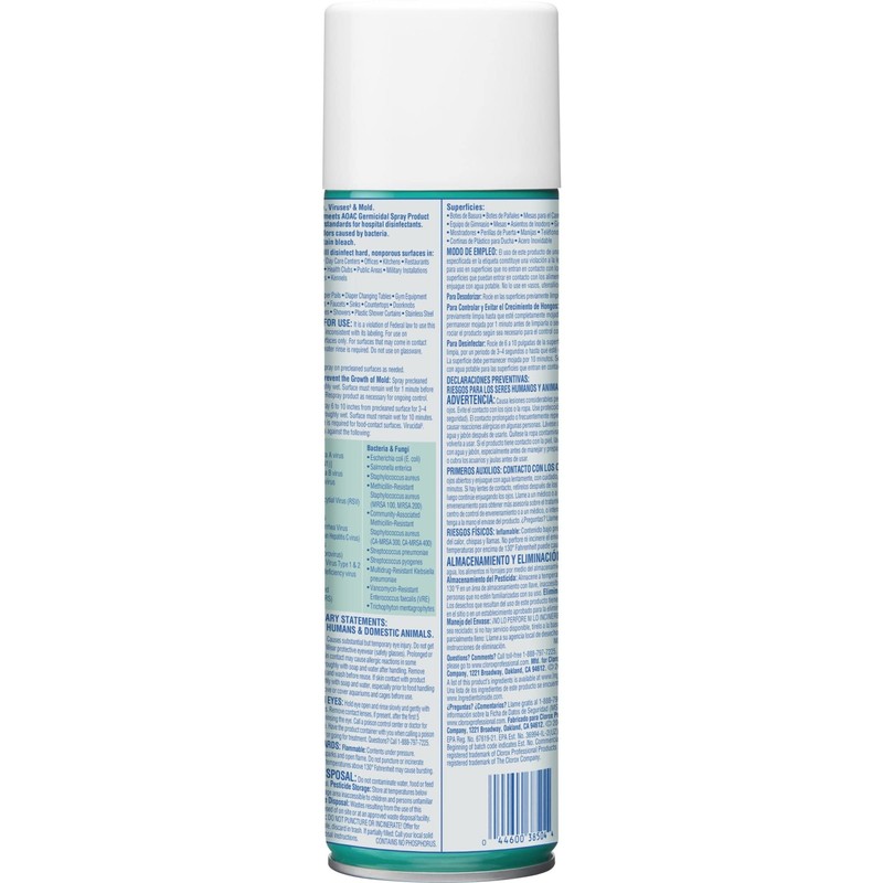 Clorox Disinfectant Spray, 19 Ounce, 1 Each