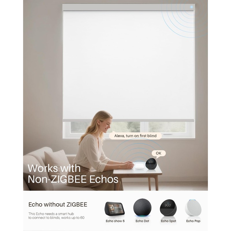 JaeJaes Smart Hub for Alexa Motorized Zebra Shades Smart Gateway,