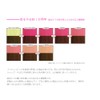 Ancels Color Treatment Butter 20g Flash Pink