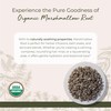Starwest Botanicals Organic Marshmallow Root Cut and Sifted, 16 Ounce