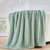 NEWCOSPLAY Super Soft Throw Blanket Green Premium Silky Flannel Fleece