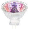 Hikari 00199 - JCR-8297P MR11/12V/10W/G4/CVR/30DEG MR11 Halogen Light Bulb