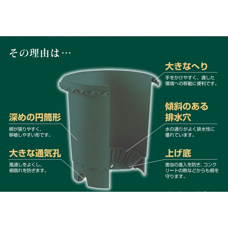 Richell Rose Pot, No. 8, Dark Green