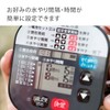 Takagi GTA111 Easy Watering Standard Timer, Timer Reservation, Automatic Watering