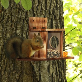 Relaxdays Squirrel Feeder Wooden 2 Entrance & Seating Platforms Hanging Squirrel Feeder Natural
