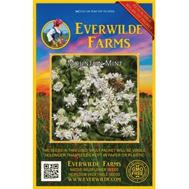 Everwilde Farms - 2000 Mountain Mint Native Wildflower Seeds - Gold Vault Jumbo Seed Packet