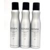 Kenra Professional Root Lifting Spray 8 fl oz - "SET