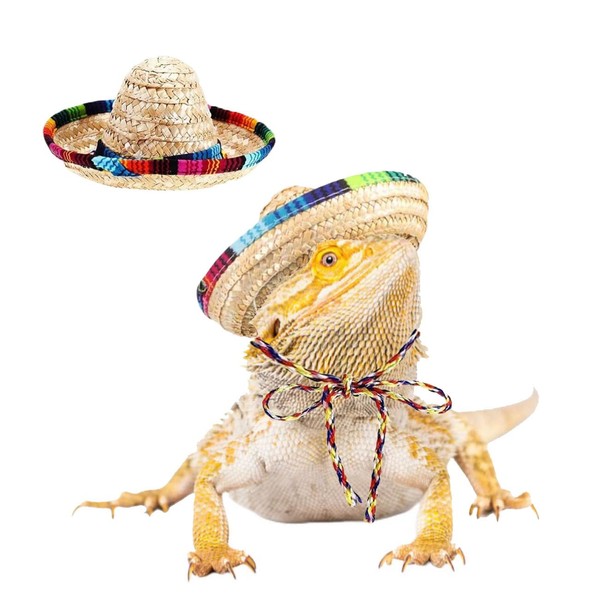 DHinkyoung 2 Pcs Bearded Dragon Sombrero Hats with Chin Strap,