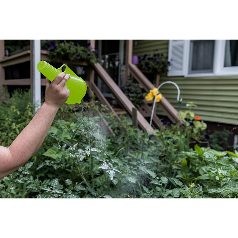 Powder, Sulphur, First Saturday Lime, DE Duster Applicator, Green