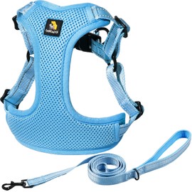 BELLA & PAL Dog Harness with Leash Set, Adjustable Step-in Puppy Harness for Extra-Small/Small Medium Dogs, No Pull Breathable Vest Reflective Harness with Leash D-Ring (Blue, XS (Chest: 13-16"))