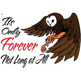 AK- It's only Forever, not Long at All, Labyrinth Decal Sticker -Stickers Vinyl Decal car | Van | Trucks | Motorcycle | Bumper | Window Any Smooth Surface - Size 5" inch