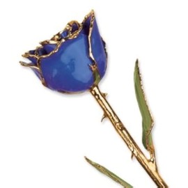Allmygold Blue Violet Long Stem Dipped 24K Gold Trim Genuine Rose in Gift Box