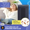 Veva 1 Pack of replacement filter compatible with Winix Filter