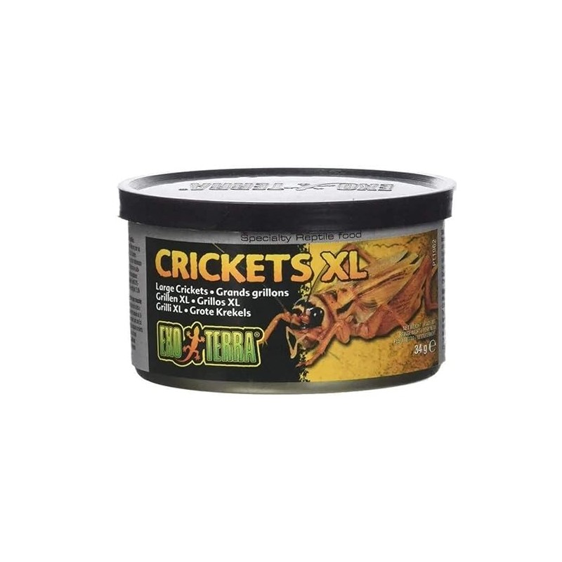 Exo Terra Specialty Reptile Food, Canned XL Crickets for Reptiles,