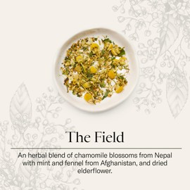 Dona single origin, premium blended teas conveniently packaged in plant-based sachets, canister of 12 sachets/teabags (The Field)