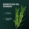 Shampoo Anticaída Romerox Tratamiento Cabello Y Barba 3 Pack
