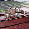 Pagani Design PD1786 Women's Multifunction Chronograph Moon Phase Automatic Date