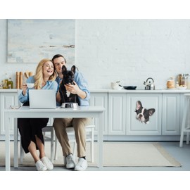 Winston & Bear 3D Dog Stickers - 2 Pack - Black and White French Bulldog Stickers for Wall, Fridge, Toilet and More - Retail Packaged Pied Frenchie Stickers