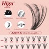 Higu Clace Cluster Lashes 10-18mm, 320PCS Individual Eyelashes, Natural Lash