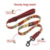 Pawview Puppy Collar and Lead sets with Dog ID Tag