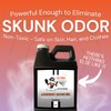 The Stink Solution Laundry Booster Deodorizer For Strong Odor to