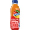 Snapple Mango Madness Flavored Juice Drink, 16 fl oz recycled