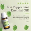 Pranarom - Peppermint Essential Oil, Peppermint Oil for Home, Pure