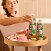 Faith In Nature Conditioner