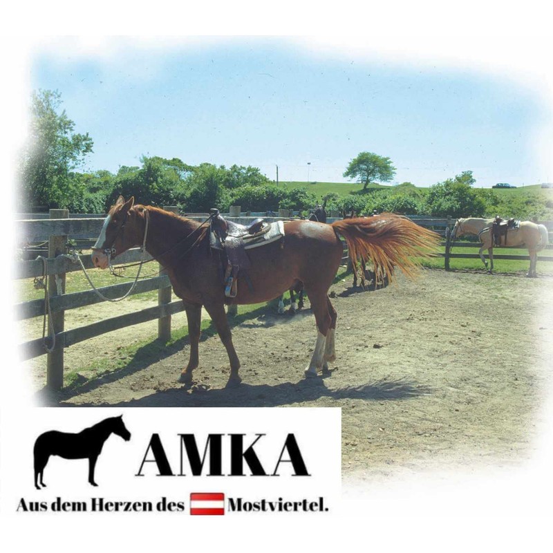 Amesbichler Reitsport Western Quarter Horse Bit 12.5cm