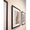 Deknudt Frames S66KF2 P1 18x24 Photoframe black wood