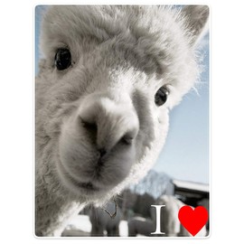 YISUMEI Blanket 150 x 200 cm Cuddly Blankets Soft Flannel Fleece Blanket I Love Alpaca