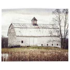 Lisa Russo Fine Art - Rustic Farmhouse Wall Decor Barn Landscape Photograph - Not Framed - Neutral White, Beige, Tan (16x20 Print Only)