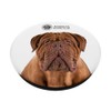 AKC Dogue de Bordeaux Photo PopSocket