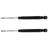 AUTO DN 2 Rear Shocks Absorber Pair Driver and Passenger