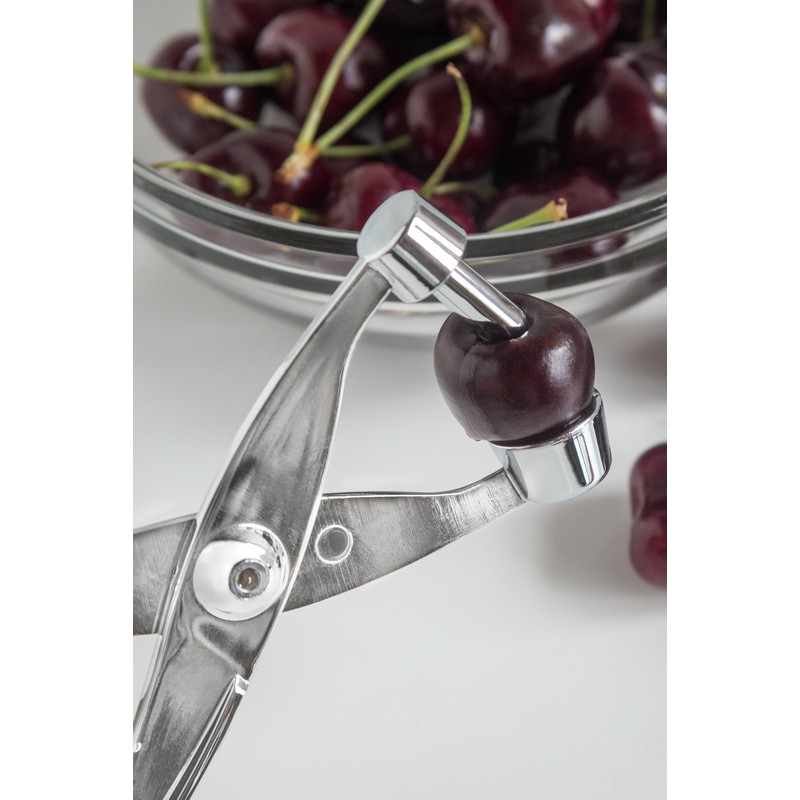 Fox Run Cherry/Olive Pitter, Zinc Alloy