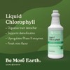 Nature's Sunshine Liquid Chlorophyll - Immunity Support, Detox & Cleanse,