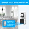 256GB Blink USB Flash Drive and Blink Sync Module 2