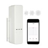 WiFi DIY Smart Motorized Chain Roller Blinds Shade Shutter Drive