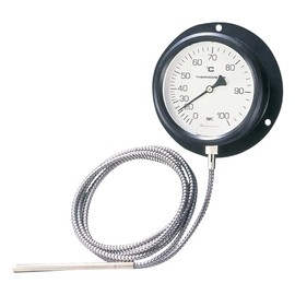 Wall Mounted Separated Thermometer 0 - 100 °C /1-2584-02