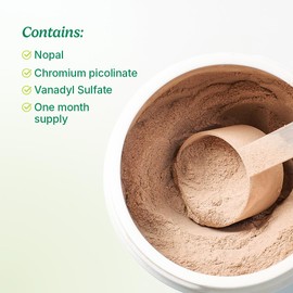 Santo Remedio Super Nopal Powder, Lime Flavor, Exclusive Formula with Nopal, and Vanadyl Sulfate. 90 Grams (30 Servings)