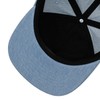 Reell Low Pitch Cap for Men and Women, Washed denim