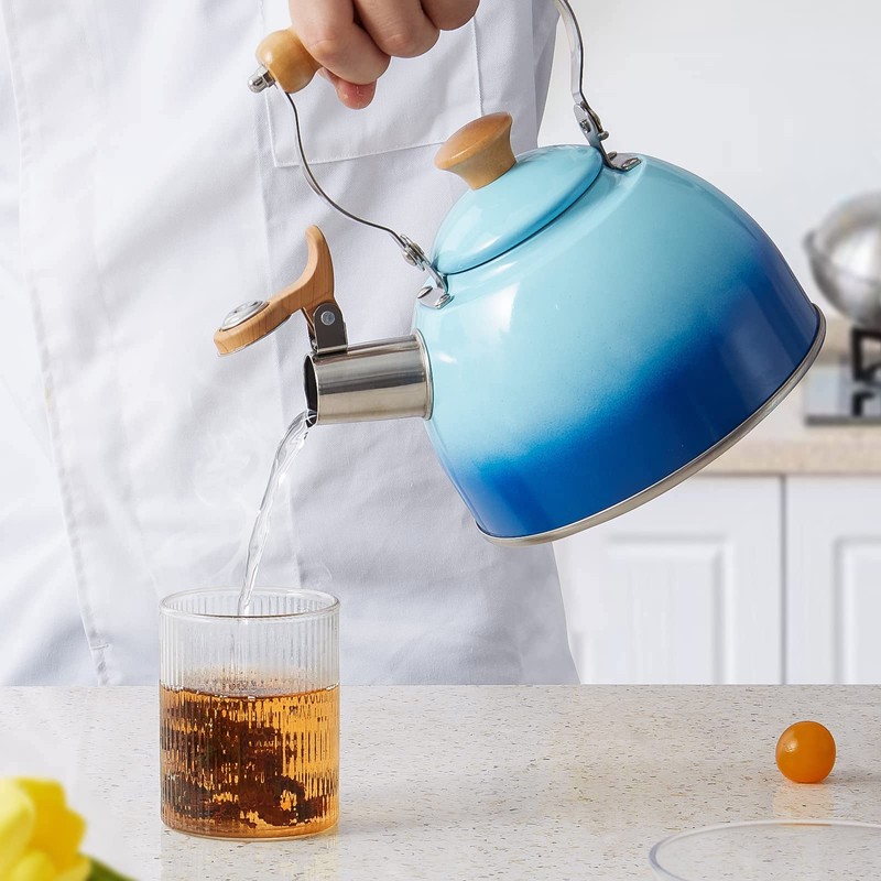 ROCKURWOK Tea Kettle, Tea Pot with Cool Touch Ergonomic Handle,