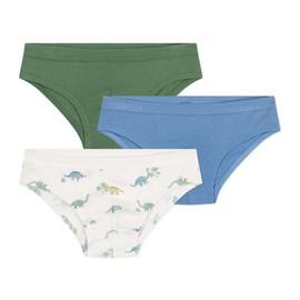 Petit Bateau Boys' Briefs (Pack of 3), Variant 1, 2 years