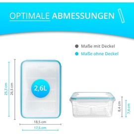 astor24 Mealprep Premium Food Storage Containers, 2 x 2600 ml, 100% Airtight and Leak-Proof, -40 to +100 Degrees, Storage Containers, Dishwasher, Freezer Safe, BPA Free