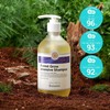 교보문고 보타믹스 포레스트 그로우 인텐시브 샴푸 Kyobo Bookstore Botanics Forest Grow Intensive Shampoo