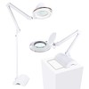 Brightech LightView Pro 2 in 1 Magnifying Floor Lamp &